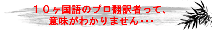 10ヶ国語翻訳者