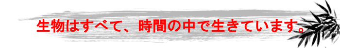 時間と語学の関連