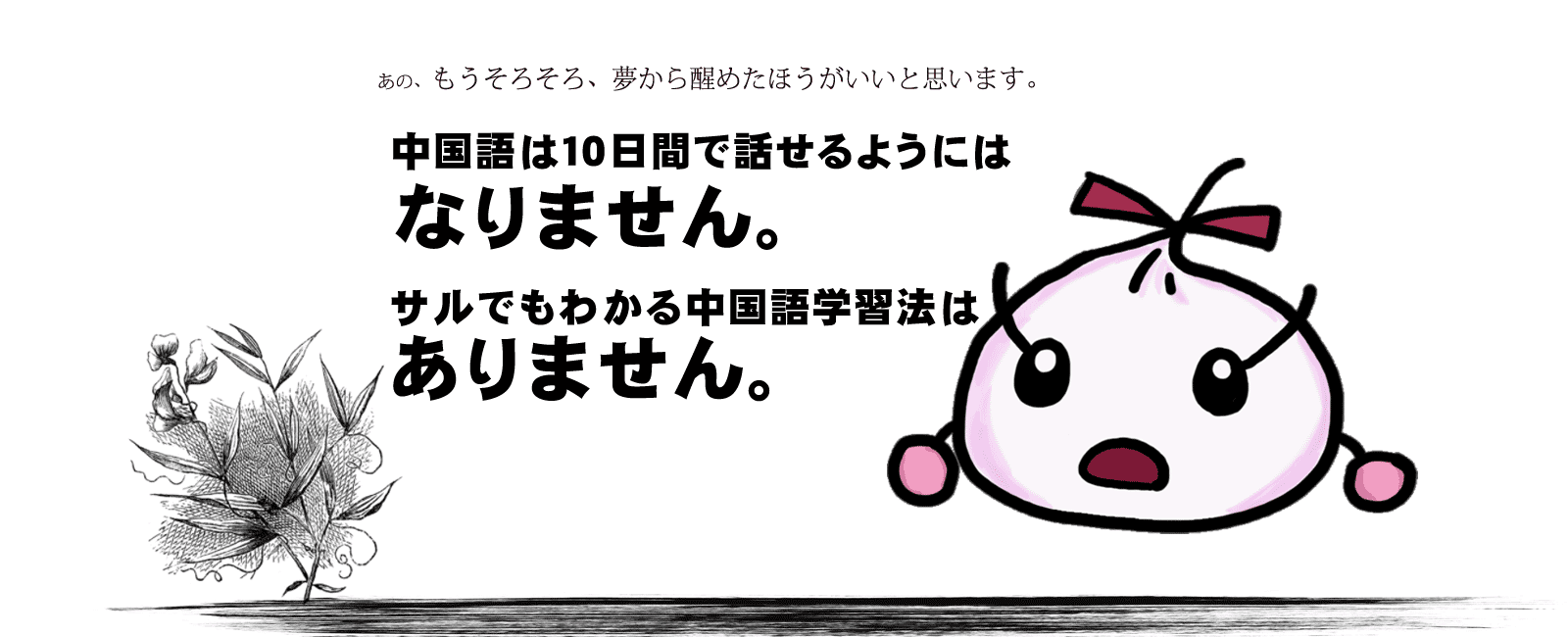 中国語は10日間で話せるようにはなりません。サルでもわかる中国語学習法はありません。