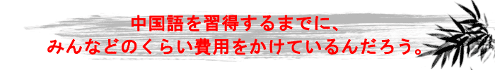 中国語を習得するまでに、みんなどのくらい費用をかけているんだろう。