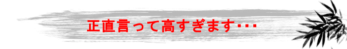 正直言って高すぎます…