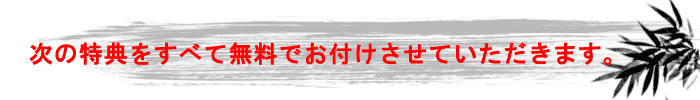 次の特典をすべて無料でお付けさせていただきます。